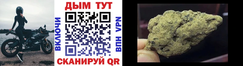 Купить  Урус-Мартан  Конопля тримм 